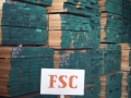 Fsc 2